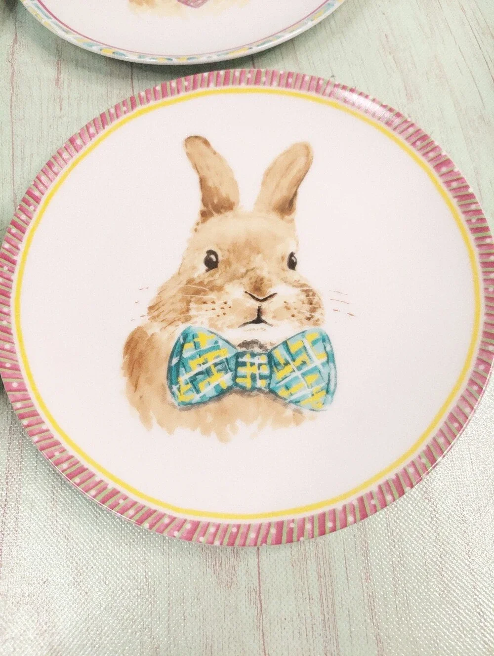 Pier 1 Imports Easter Bunny Plates Set Of 4